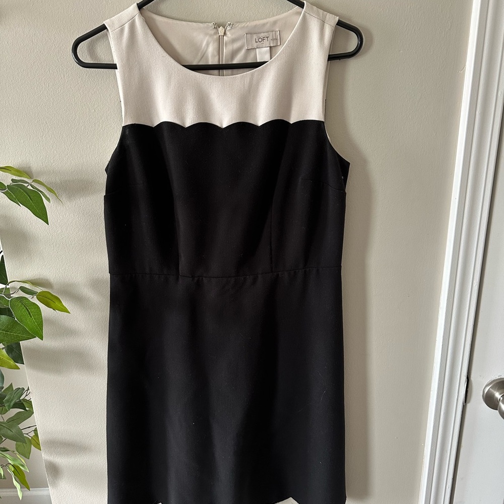 LOFT Black and White Scallop Dress